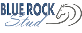 Bluerock Stud